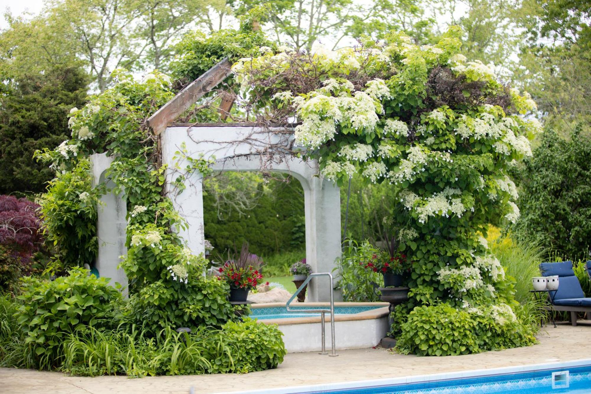 The Villa Bed And Breakfast ウェスタリー エクステリア 写真